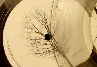 ȫ�����ֲ�����(���ֲ�������)