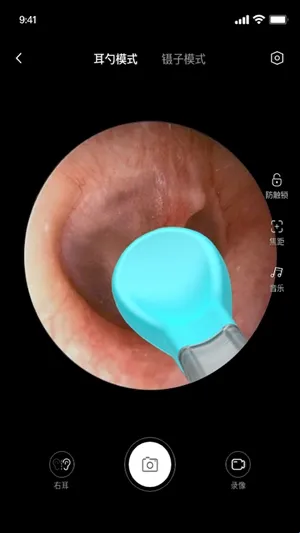 bebird�ɶ�2026�ٷ�����