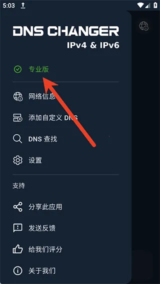 DNS Changer(�����Ż�����)