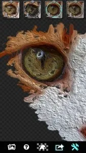 Glaz�ͻ��˾�(�ͻ�����ͼ����)v2.3.4 �ֻ���