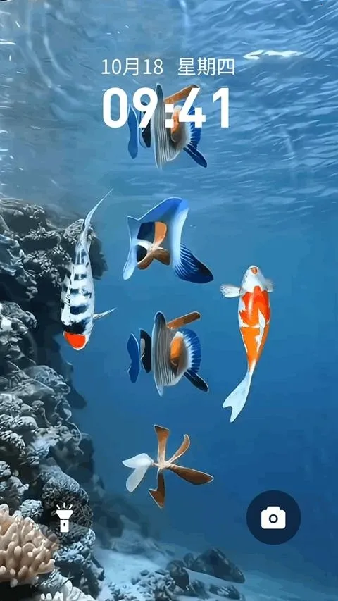 ��������ֽ�����ֻ���