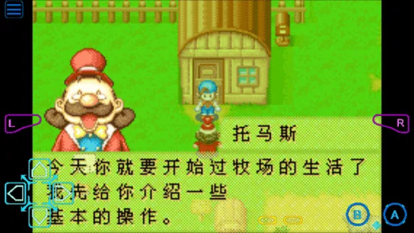 ���������ʯ��Ļ����2013������(����ģ�⾭Ӫ��Ϸ)v2.0.0 ��Ѱ�