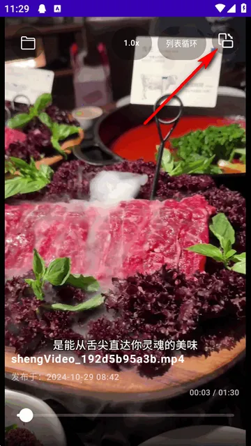 TikAlbum�ļ��в�����