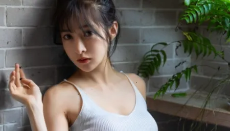 ����(���Ľ���)