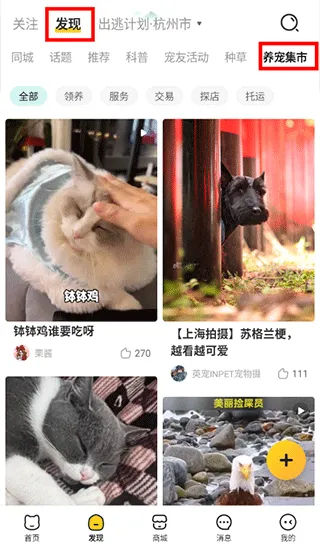 ������(�������ƽ̨)