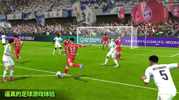 FIFA 222026���ذ�װv3.2.113645 �ֻ���