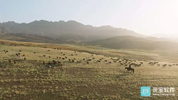 ȫ�ۺ�TV2026���°汾