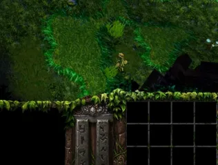 ħ��ɭ�������ֻ���v5.9.29 ��׿��