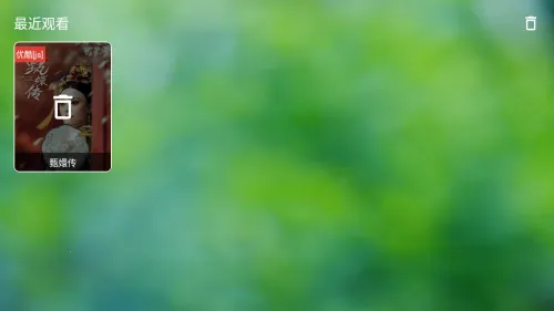 ��ôɾ���ۿ���¼��ͼ3