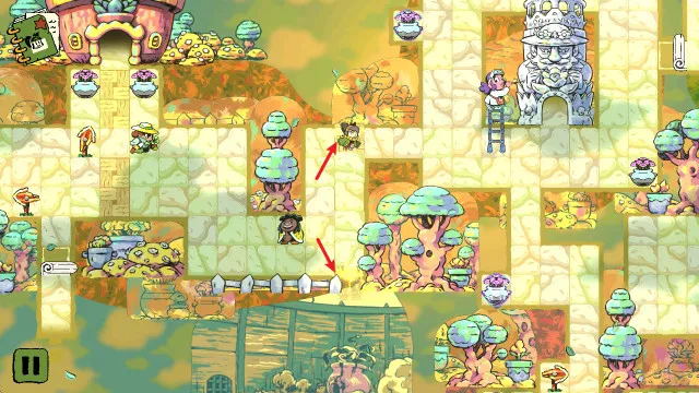 ��֯����ֲ��