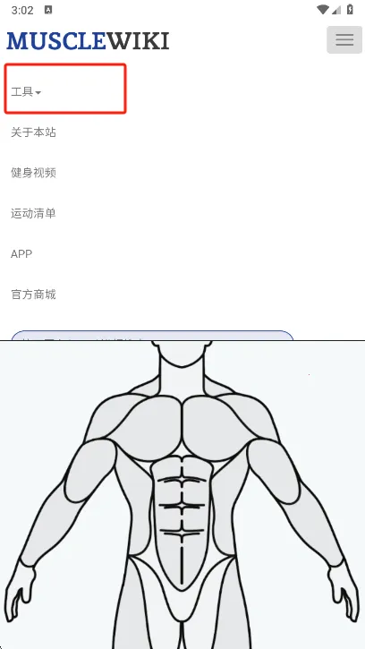 Muscle Wiki2026���ذ�װv3.0.9 ��׿��