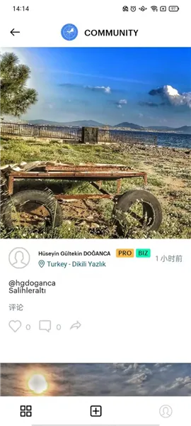 Windy��ɫ����2026���ذ�װv1.05 �ֻ���