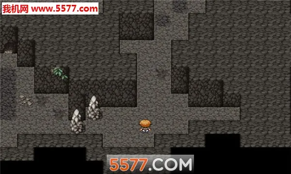 ��ͨ��RPG(���ط�ð����Ϸ)v1.0 �ֻ���