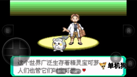 �����ξ����̱�ʯ2026�ٷ�����