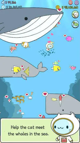 ˮ��è���İ�2026�ٷ����°汾v1.0.1 ��Ѱ�