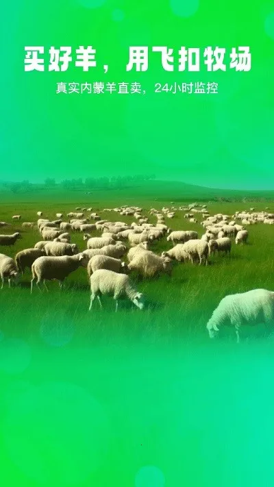 �ɿ�(������ֳ����)