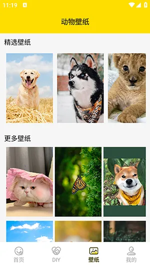 ���ӱ������׿���ֻ���