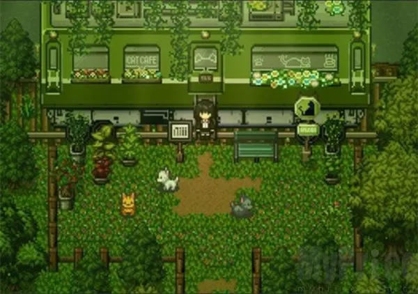 ��ɭ��̷2026�ٷ�����