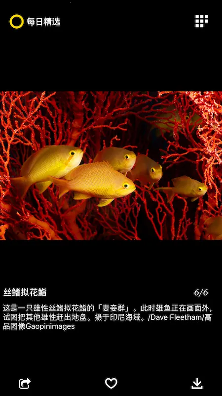 ÿ�վ�ѡ2026���ذ�װv3.0.7 ��Ѱ�