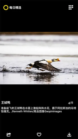 ÿ�վ�ѡ2026���ذ�װ