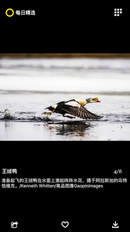 ÿ�վ�ѡ2026���ذ�װv3.0.7 ��Ѱ�