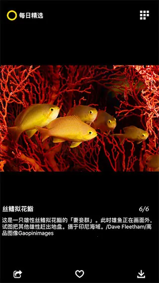 ÿ�վ�ѡ2026���ذ�װ