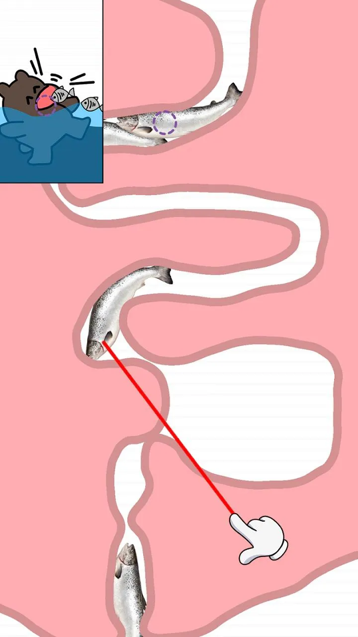 ������2026�ٷ�����v1.63 �ٷ�����