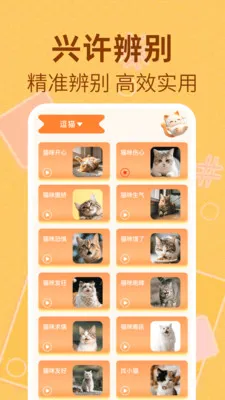 è�����﷭����2026�ٷ����°汾v1.0.2 �ֻ���