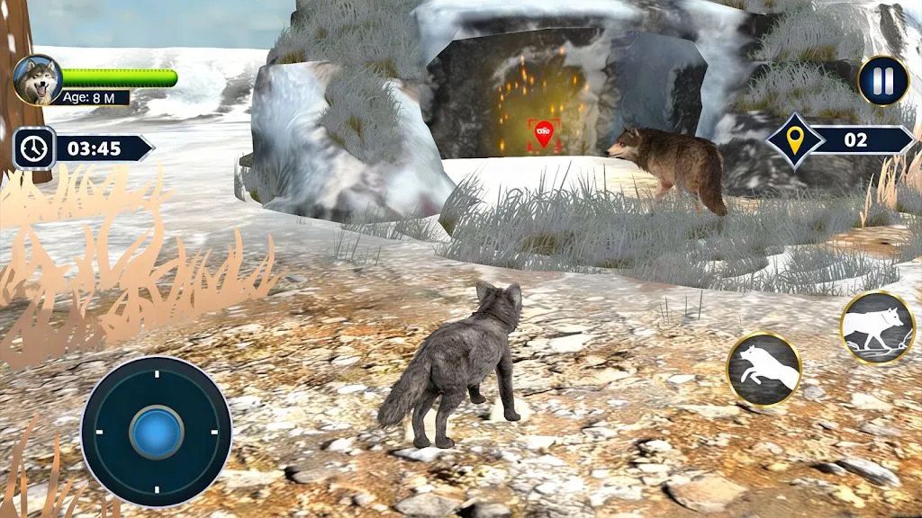 ��ģ���� 3D2026�ٷ����°汾v1.0.6 ��׿��