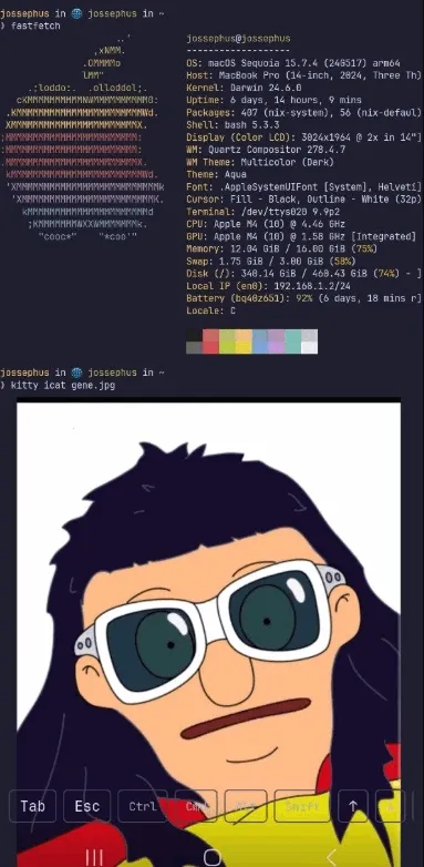 chuchu2026���ذ�װv1.0 �ֻ���