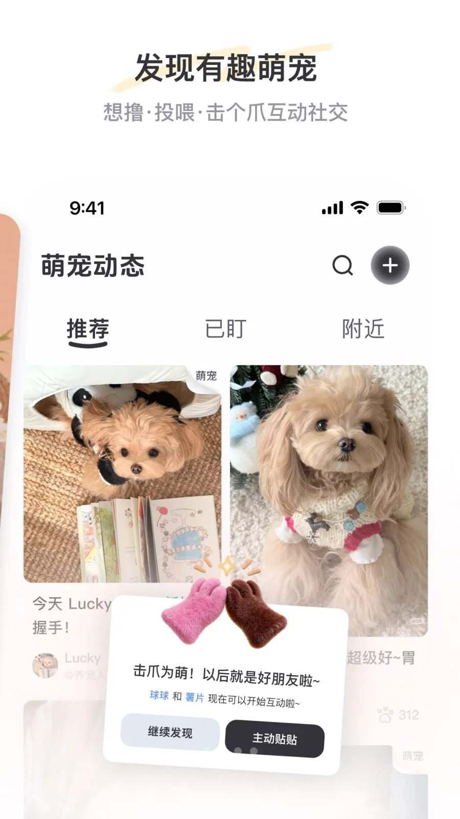 PetSpace2026�ٷ����°汾v1.0 ��Ѱ�