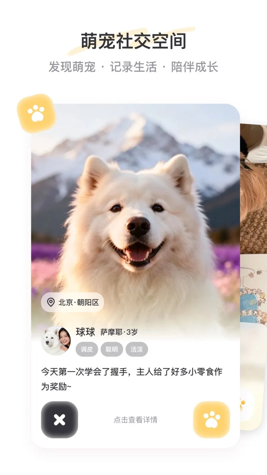PetSpace2026�ٷ����°汾v1.0 ��Ѱ�