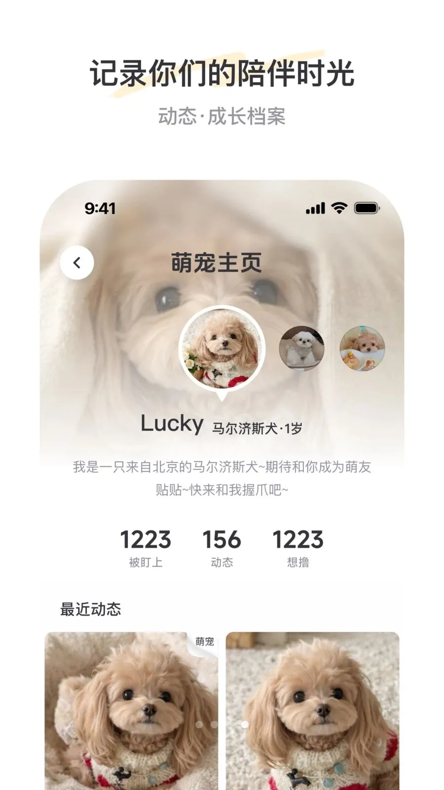 PetSpace2026�ٷ����°汾v1.0 ��Ѱ�
