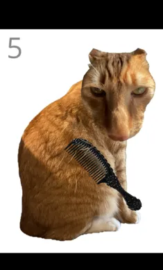 ��è��ë(����������ë)v1.0 ��Ѱ�