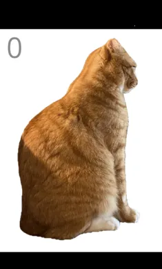 ��è��ë(����������ë)v1.0 ��Ѱ�