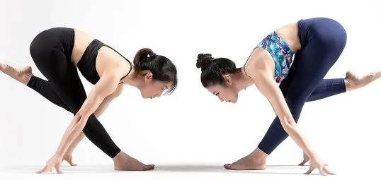 优鸽瑜伽(瑜伽学习软件) 优鸽瑜伽(瑜伽学习软件)