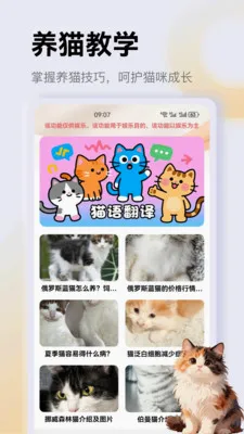 ����è��app(è�䰮èӦ��)v1.4 �ٷ�����