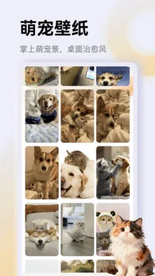 ����è��app(è�䰮èӦ��)v1.4 �ٷ�����