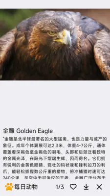ÿ�ն��ﰲ׿���ֻ���v1.0.0 ��Ѱ�