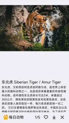 ÿ�ն��ﰲ׿���ֻ���v1.0.0 ��Ѱ�