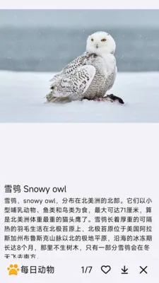 ÿ�ն��ﰲ׿���ֻ���v1.0.0 ��Ѱ�