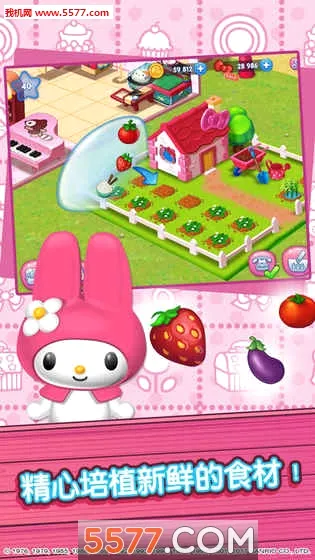hellokitty��ʳС�����޽�Ұ�2026���°汾v1.6 �ֻ���