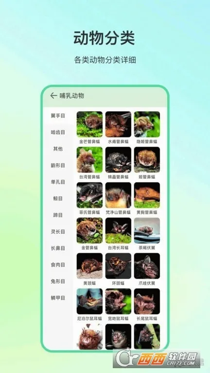 ����ٿư�׿���ֻ���v4.1.7 �ٷ�����