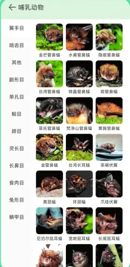 动物百科安卓版手机版 动物百科安卓版手机版