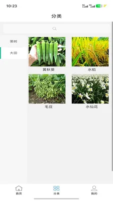 ����ɷ�ֲ��ҽ�������ֻ���v1.1.0 ��Ѱ�