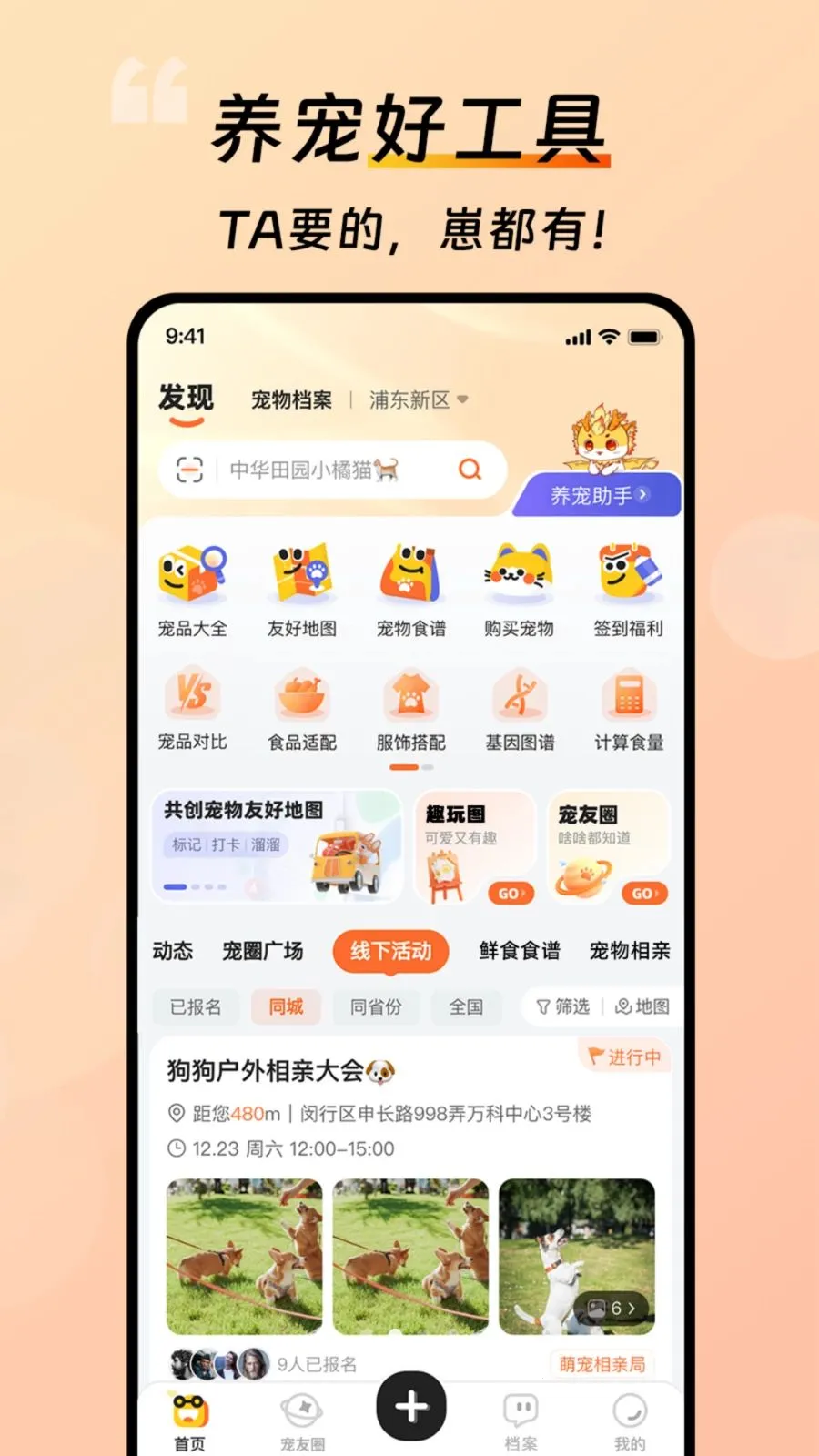 ������(�������ƽ̨)v1.0.0 �ٷ�����