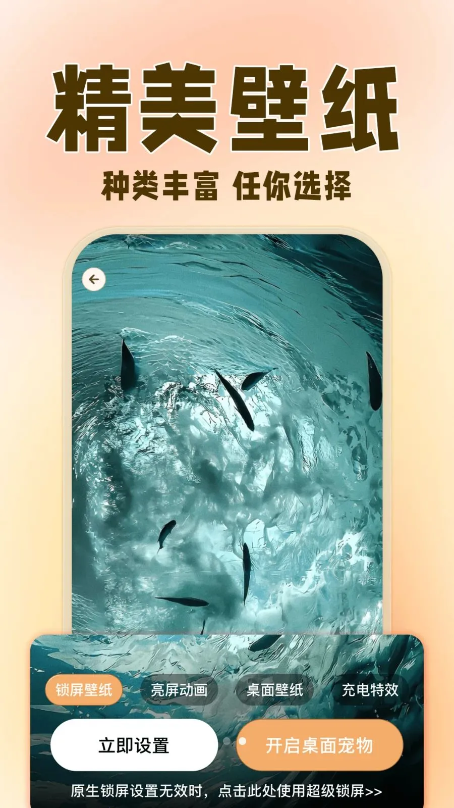 �����ȳ辫��2026�ٷ����°汾v1.0.3 ��׿��
